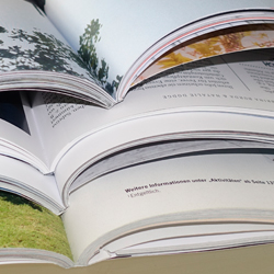 Realisierung in Print und Web
